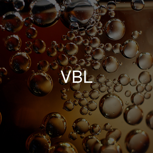 Varun Beverages Limited
